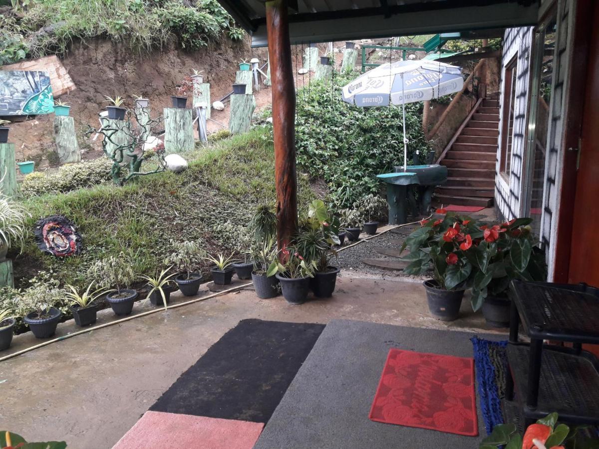 Ohiya Jungle Resort Eksteriør billede