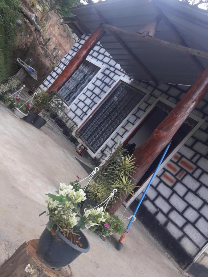 Ohiya Jungle Resort Eksteriør billede