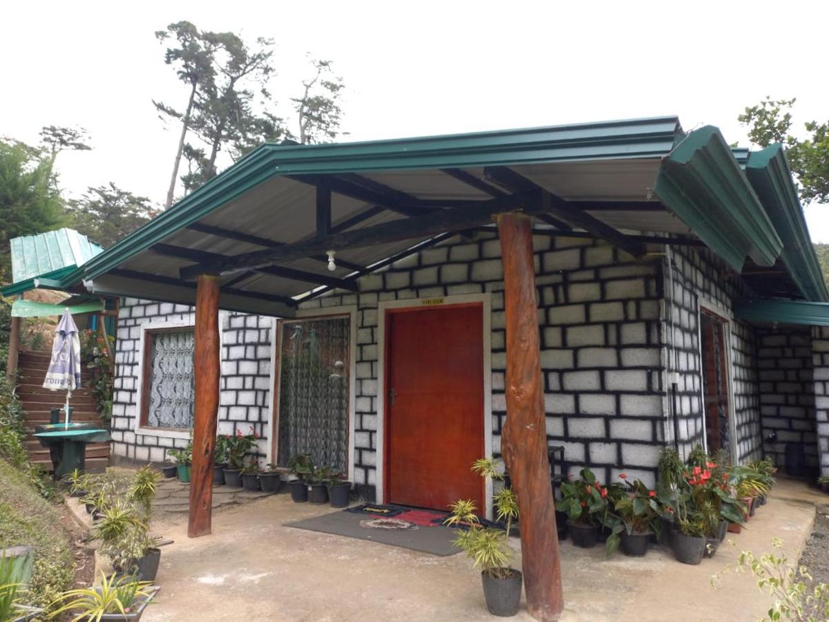 Ohiya Jungle Resort Eksteriør billede