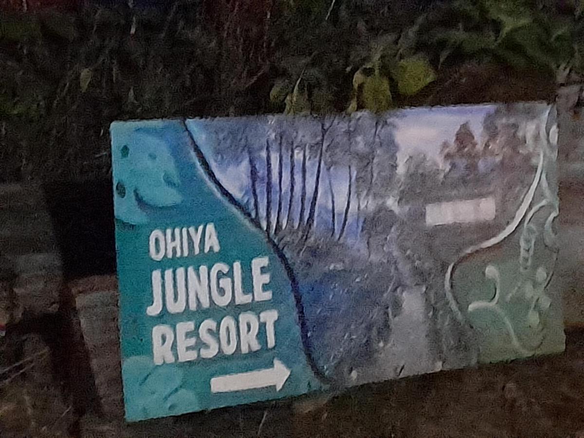 Ohiya Jungle Resort Eksteriør billede