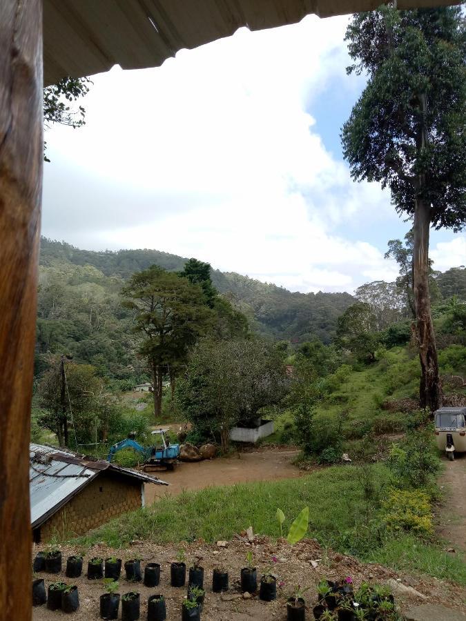 Ohiya Jungle Resort Eksteriør billede